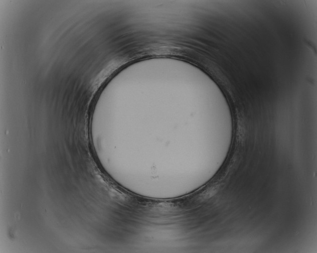 X0000103970986200810101304