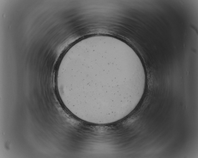 X0000103970987200810101304