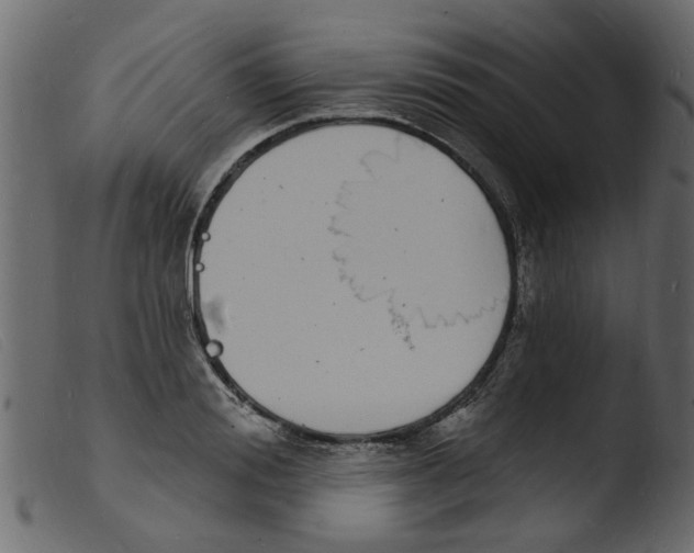 X0000103970988200810101304