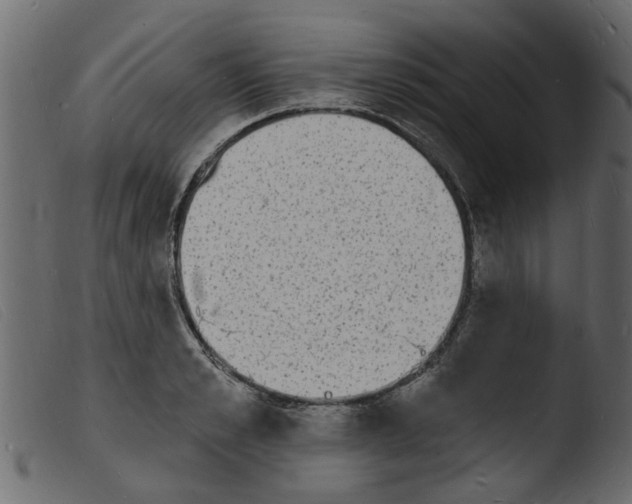 X0000103970989200810101304