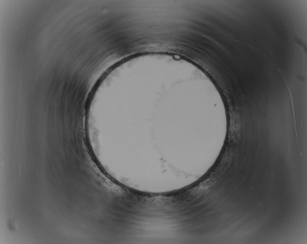 X0000103970992200810101304