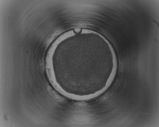 X0000103970994200810101304