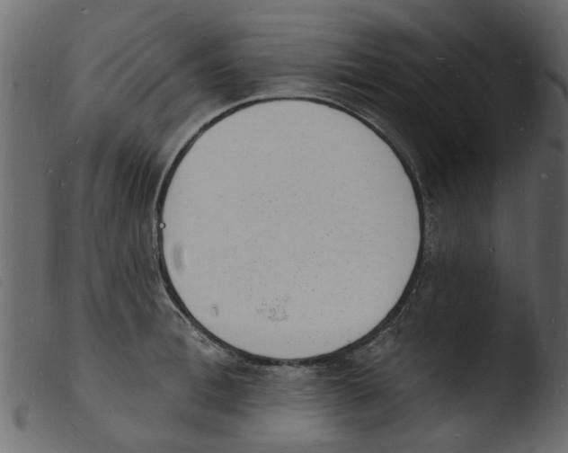 X0000103970996200810101304