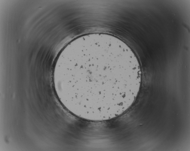 X0000103970997200810101304