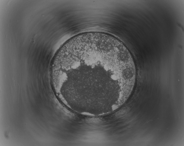 X0000103970998200810101304