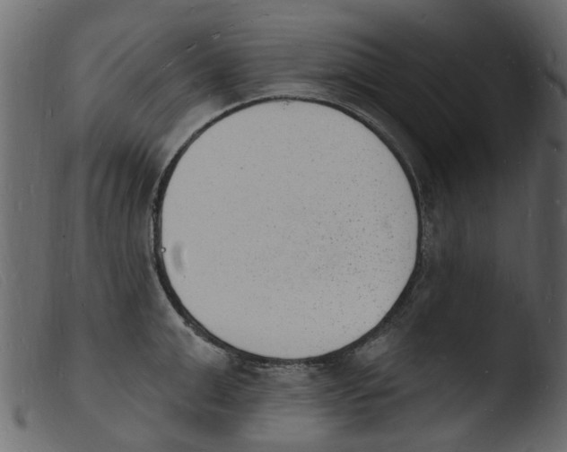 X0000103970999200810101304