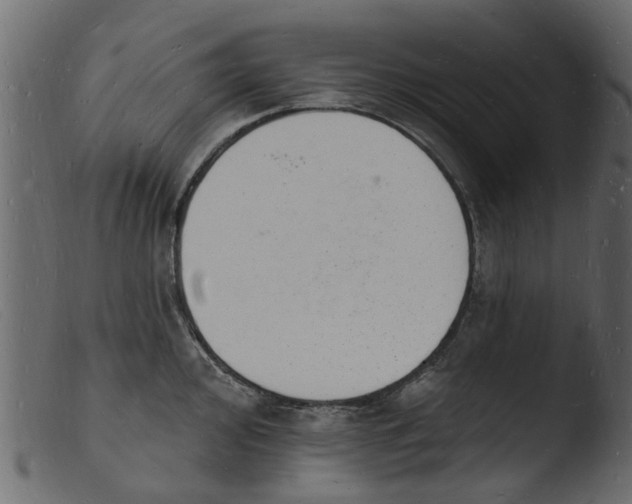 X0000103971000200810101304