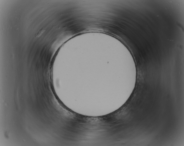 X0000103971003200810101304