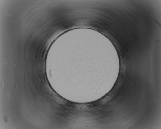 X0000103971004200810101304