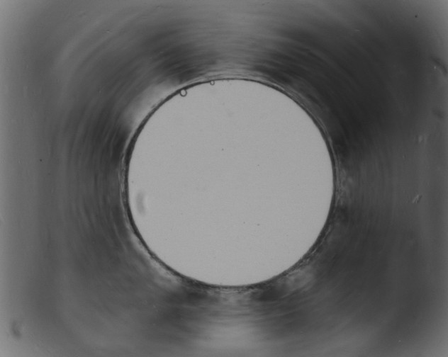 X0000103971005200810101304