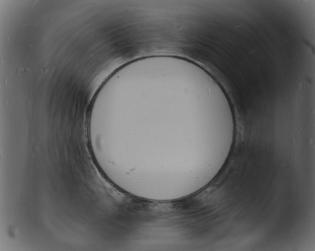 X0000103971006200810101304