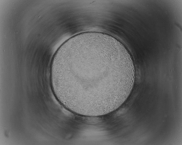 X0000103971007200810101304