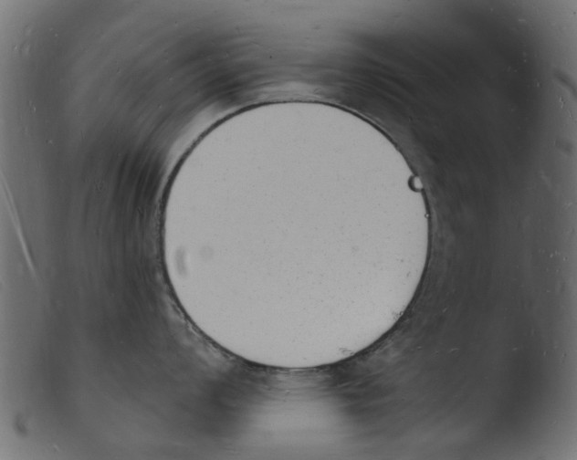 X0000103971008200810101304