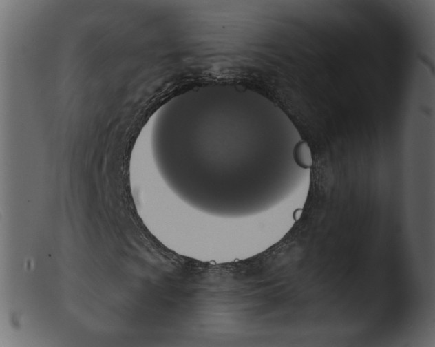 X0000103971009200810101303