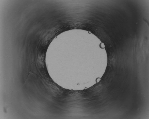 X0000103971010200810101303