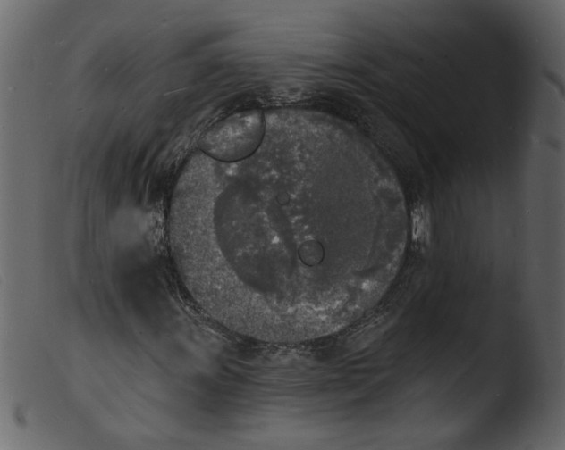 X0000103971011200810101303