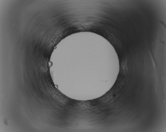 X0000103971012200810101303