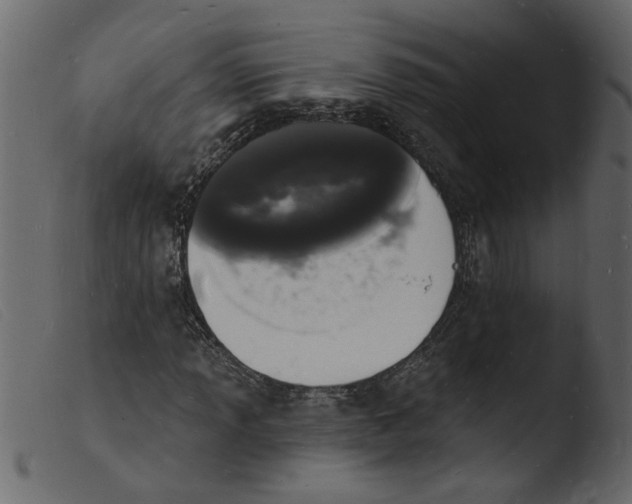 X0000103971013200810101303