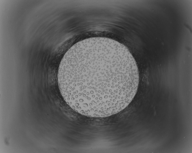 X0000103971014200810101303