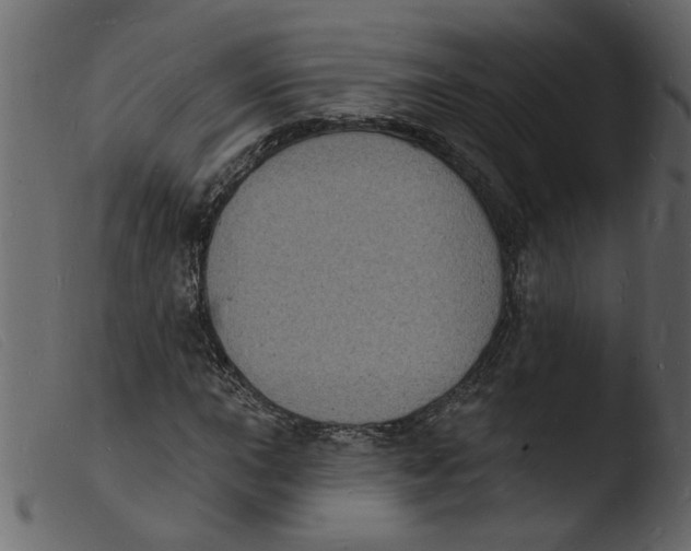 X0000103971015200810101303