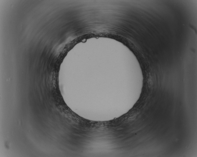 X0000103971016200810101303