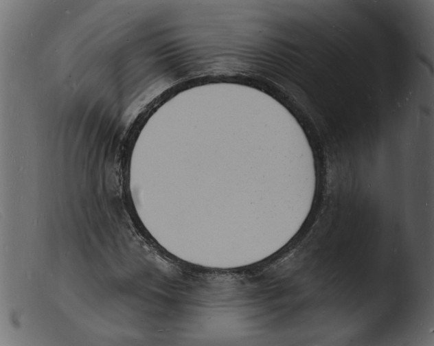 X0000103971018200810101303