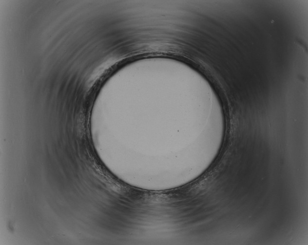 X0000103971019200810101303