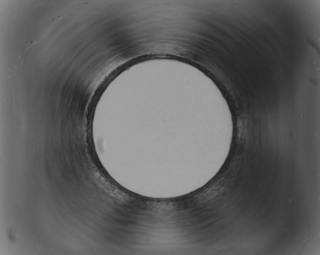 X0000103971020200810101303