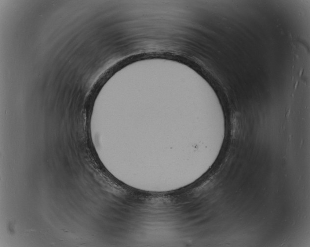 X0000103971021200810101303