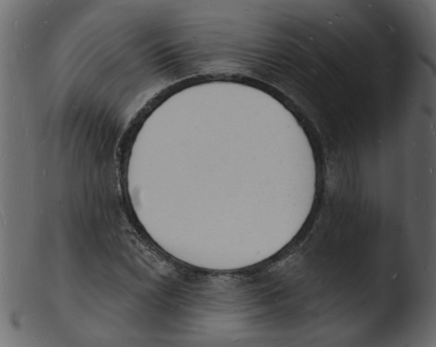 X0000103971022200810101303