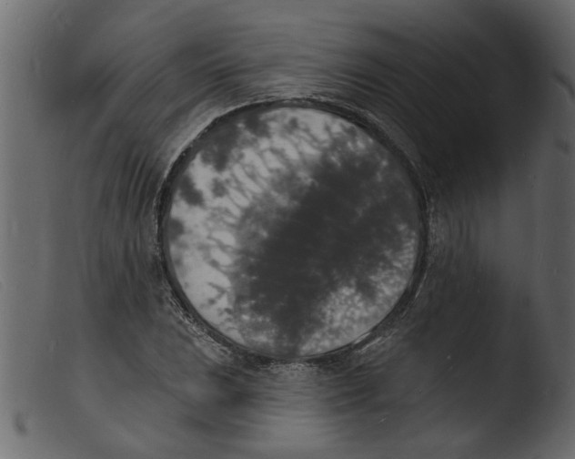 X0000103971023200810101303