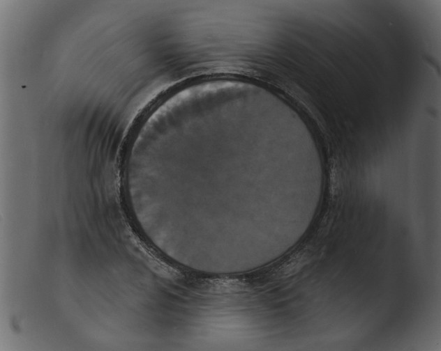 X0000103971024200810101303