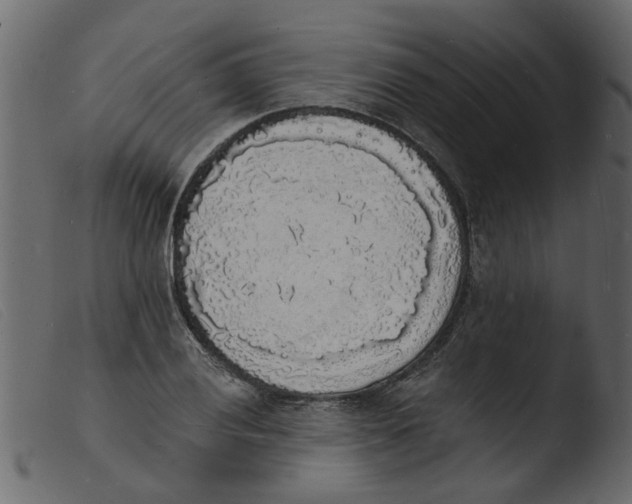 X0000103971028200810101303