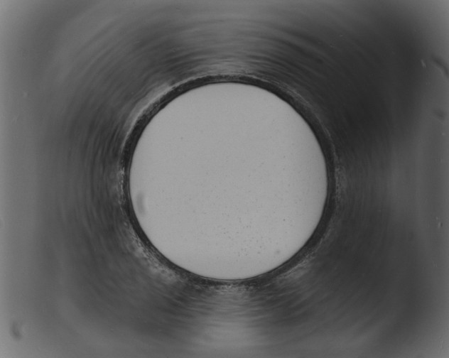 X0000103971029200810101303