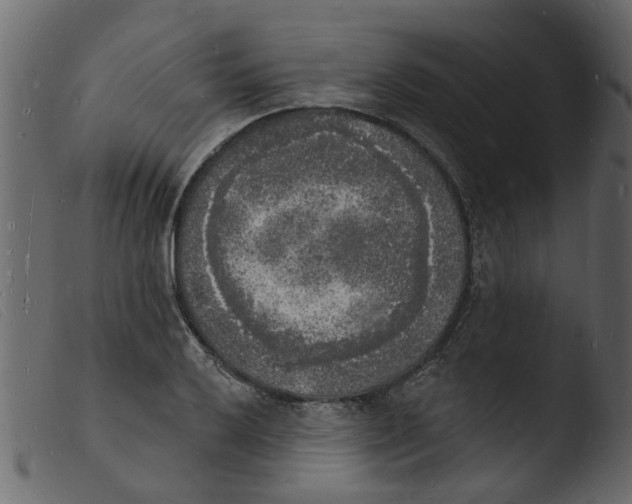 X0000103971032200810101303