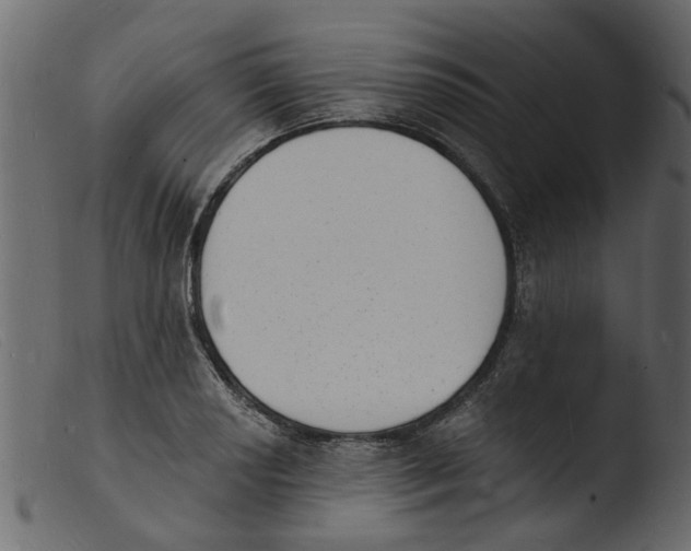 X0000103971034200810101303