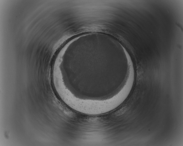 X0000103971035200810101303