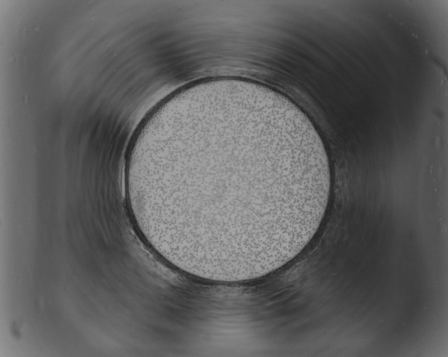 X0000103971036200810101303