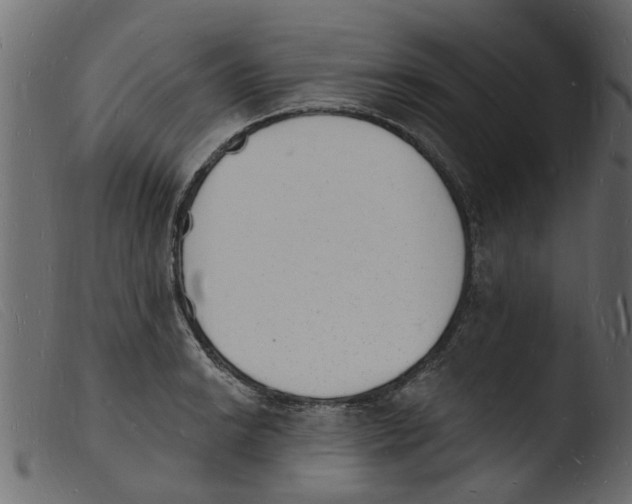 X0000103971038200810101303