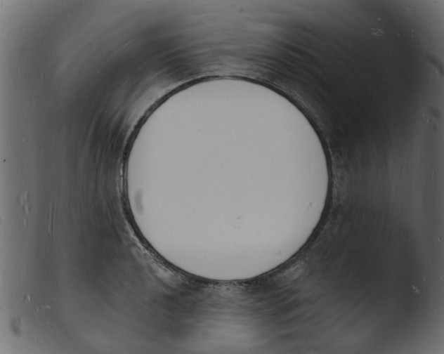 X0000103971040200810101303