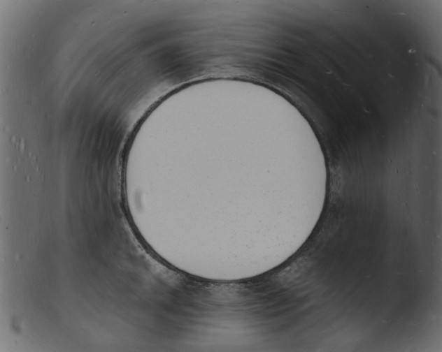 X0000103971046200810101303