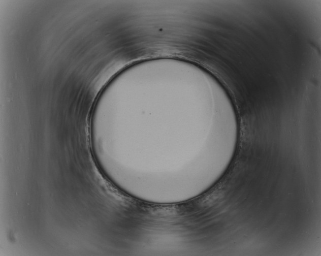 X0000103971047200810101303