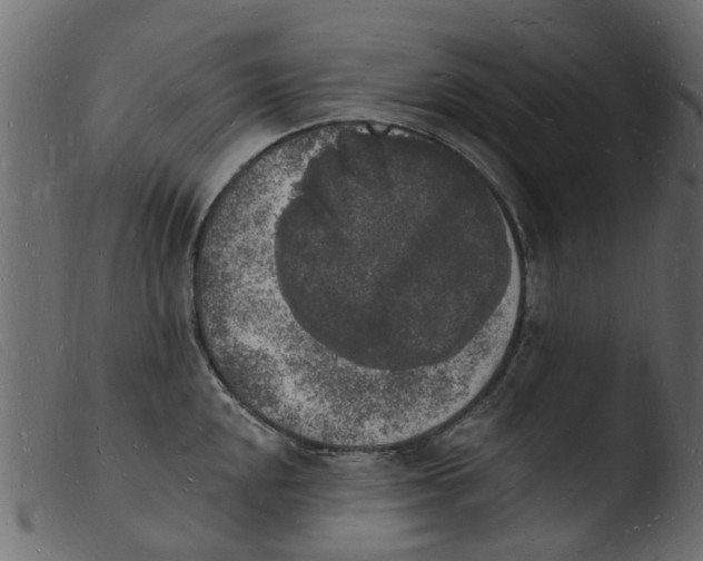 X0000103971048200810101303