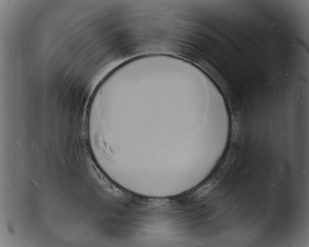 X0000103971052200810101304