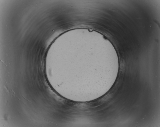 X0000103971054200810101304