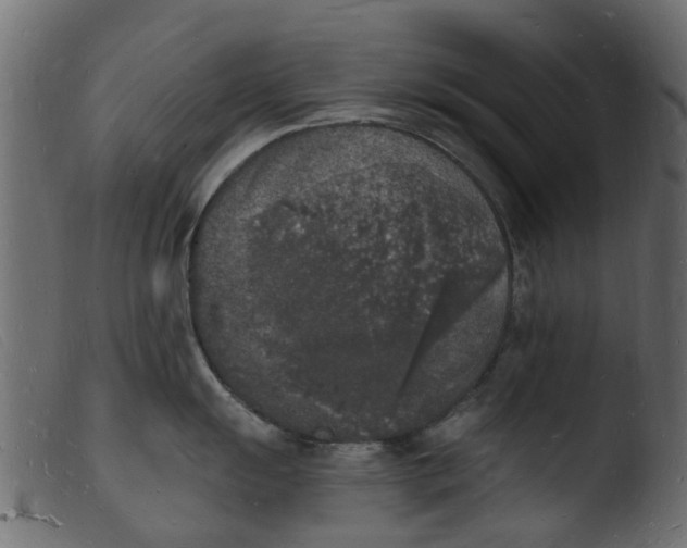 X0000103971055200810101304