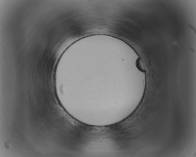 X0000103971056200810101304