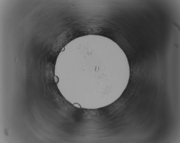 X0000103971058200810101303