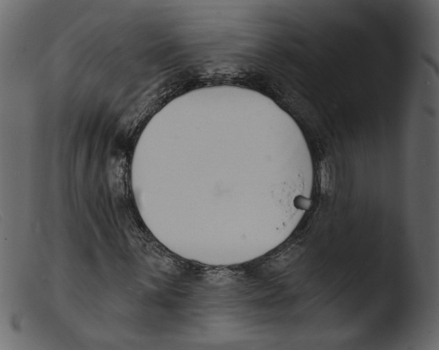 X0000103971059200810101303