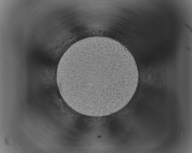 X0000103971060200810101303